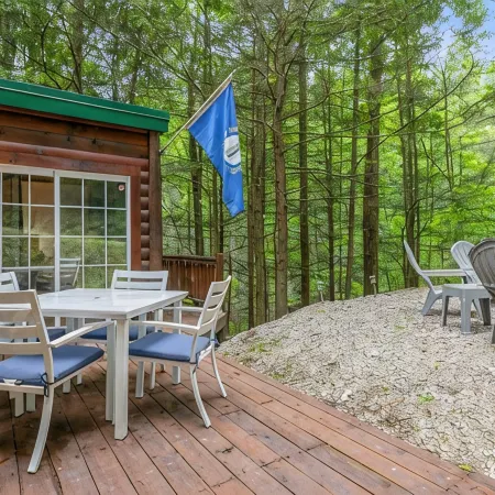 Fern Gulley Cabin with Hot Tub, Pet Friendly,  near DBBB / Hollerwood