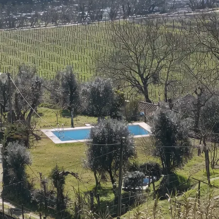Gatao: Cottage in the begining of Douro very cosy and peaceful