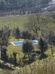 Gatao: Cottage in the begining of Douro very cosy and peaceful - piscina