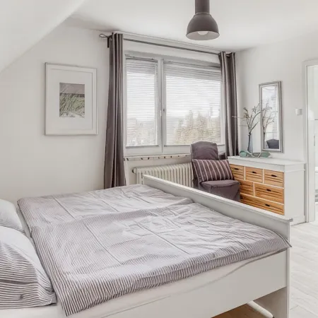 Large house in Nordic modern style