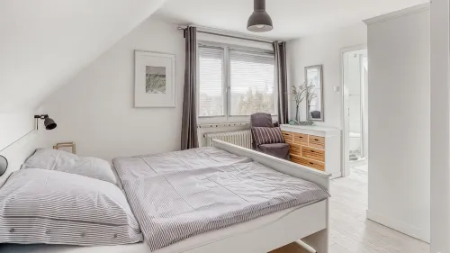Large house in Nordic modern style