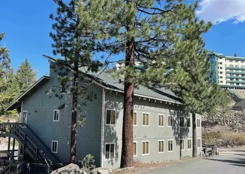 Heavenly Mountain Views 3B/2B Walk 2 Ski Lift/Hike - Homestays