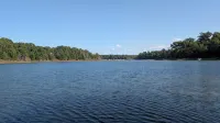 Private and Peaceful Patrick Lake Cabin - Chalets