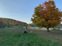 Valley View Farm Retreat