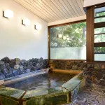 Ryokan Bijintei - Hot Tub