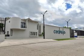 Cedrela