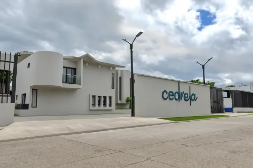 Cedrela