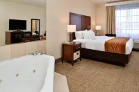 Comfort Inn & Suites Madison North - bar