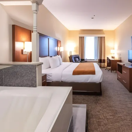 Comfort Suites Near Texas Medical Center - NRG Stadium