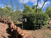 Abloom Bush Lodge and Spa Retreat - Parking