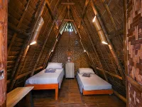 Dive Camp Hotels in Dauin