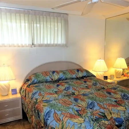Oceanfront, adjacent to North Ka'anapali Beach, Central A/C! Newly reduced rates