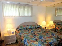 Oceanfront, adjacent to North Ka'anapali Beach, Central A/C! Newly reduced rates - 2성급