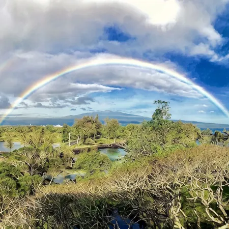 Epic Oceanfront Penthouse with Best Views in Hilo!
