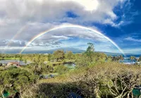 Epic Oceanfront Penthouse with Best Views in Hilo!