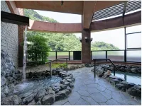 Hotel de Marronnier Yunoyama-Onsen - Hot Springs