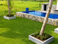 Silver Palm Resort - 泳池