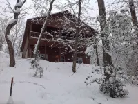Beautiful 5 bedroom 4 bath cabin within10  mins of all attractions - Chalets