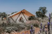 Salterra Glamping Hôtels à : Tequisquiapan