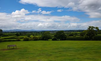 a scenic view of a field with trees and clouds in the sky , viewed from the perspective of someone sitting on a bench at Higher Farm