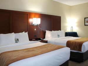 Comfort Inn & Suites Fultondale Gardendale I-65