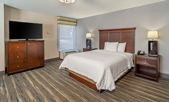 Hampton Inn Nashville-Vanderbilt