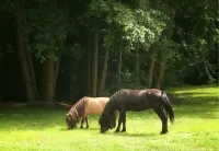 Domaine du Moulin Neuf Hotels in Saint-Etienne-De-Chigny