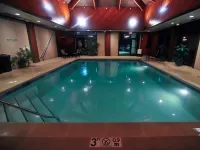 Hampton Inn Chicago/Carol Stream (Wheaton Area) - Pool