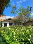 Casa Carmelita Hotel Boutique Pitalito