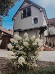 Apartamenty Centrum Park Sowińskiego 19 Hotels in der Nähe von Flughafen Zielona Gora Babimost