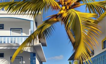 Coco Villa