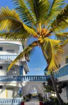 Coco Villa - breakfast
