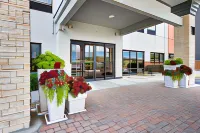 Holiday Inn Express DUBLIN by IHG - Wifi