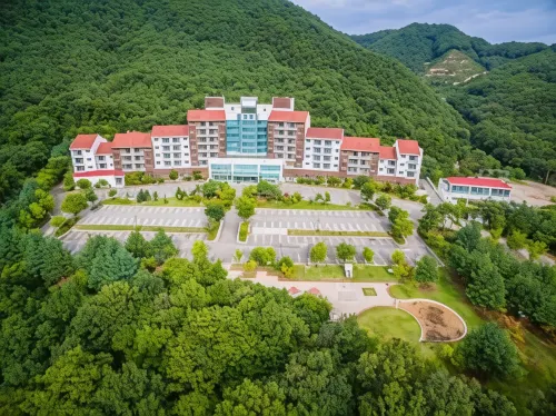 Ilsung Muju Resort - Apartments