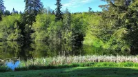 Peaceful, Cozy place in the woods. A short distance to everything good outdoors.