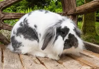 Kettle House B&B Hotels in Fort Augustus