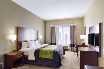 Comfort Inn Blackshear Hwy 84 Hotels near Okefenokee Swamp Park