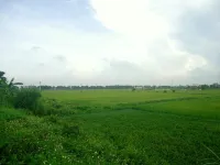 Green Space Homestay Hotels in Ninh Thang