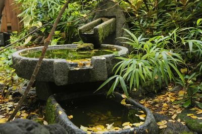 その他 時音の宿 湯主一條の写真