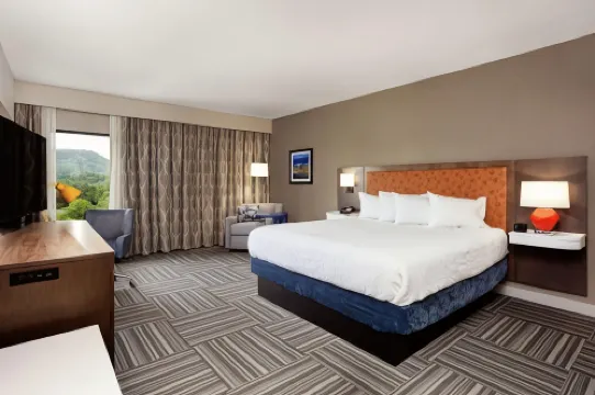 햄프턴 인 킹스포트