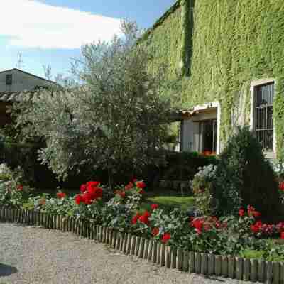 Logis Hôtel les Norias Hotel Exterior