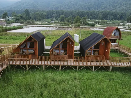 Dynasty Glamping Bedugul Отели рядом с достопримечательностью «Улун дану бератан»