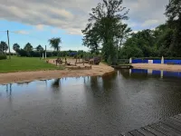 Wohnung in Dorfmark Nahe Lüneburger Heide Hotels in Bad Fallingbostel