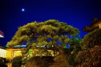 Hotel Sekitei Hotels near Supariposukeizan