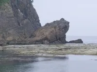 Nukumori No Yado Ishida Hotels near San'inkaigan National Park