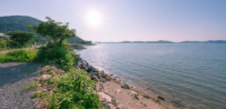 Taean Pool Villa Carrot