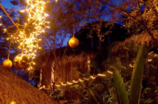 Cabañas Biuzaa Hotels in 