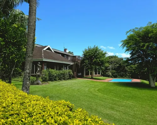 Birds of Paradise B&B Hotels in Eshowe