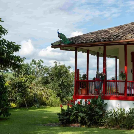 Hacienda Venecia Main House & Coffee Lodge