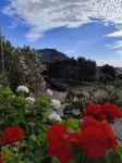 IN THE PARADISE OF SARDINIA NICE APARTMENT WITH SEA VIEW